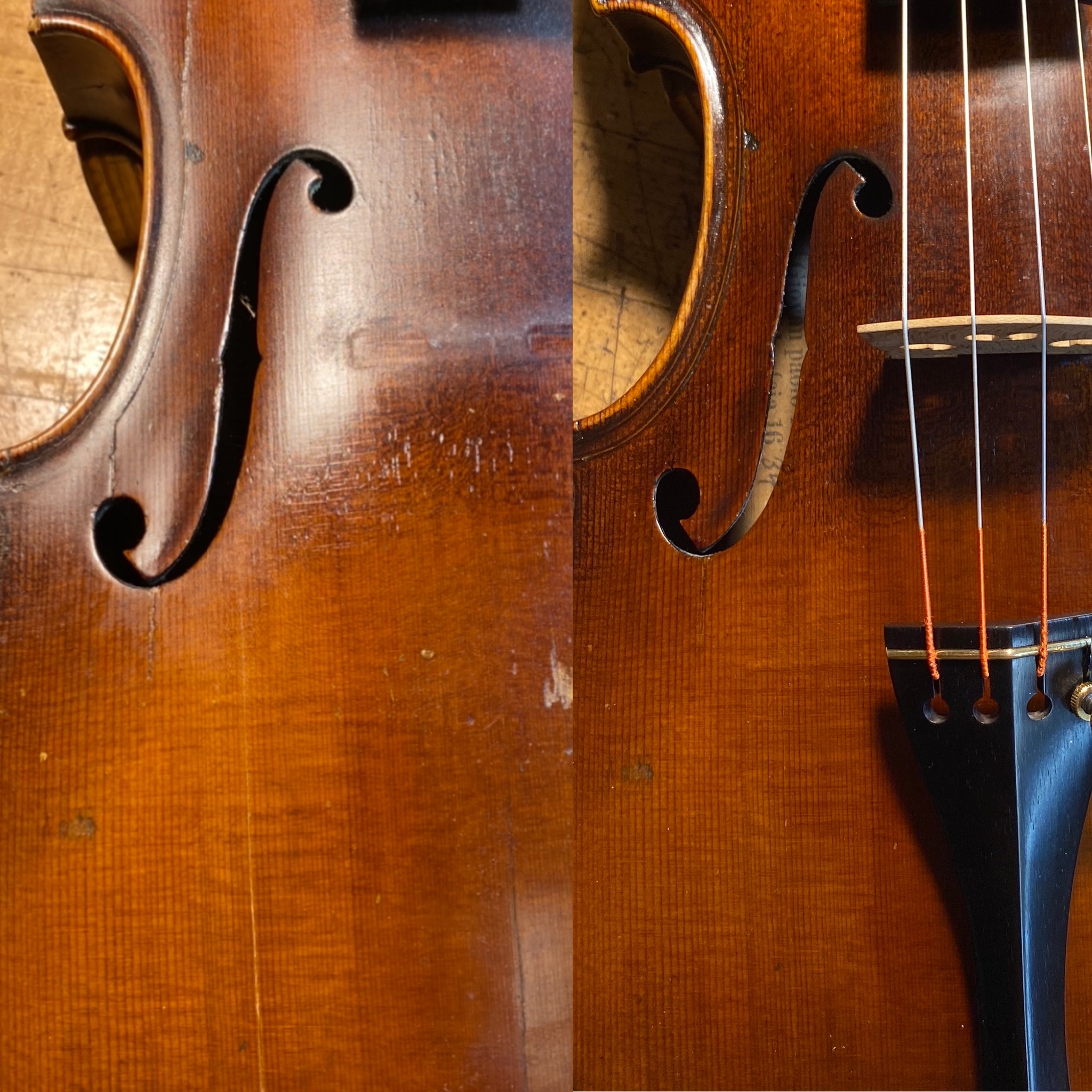 Portfolio Image 10