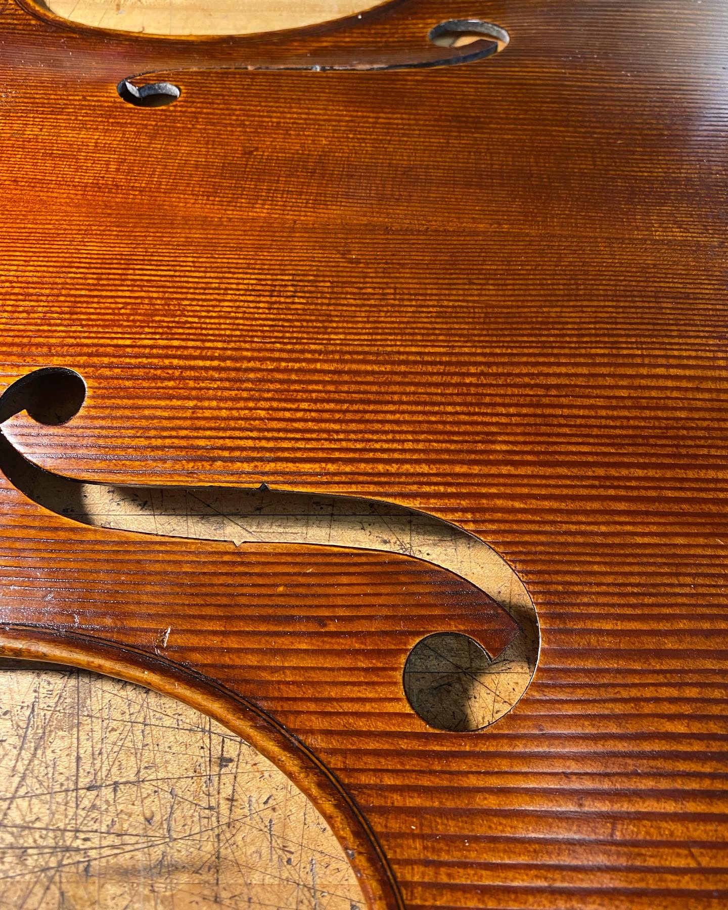 Portfolio Image 4