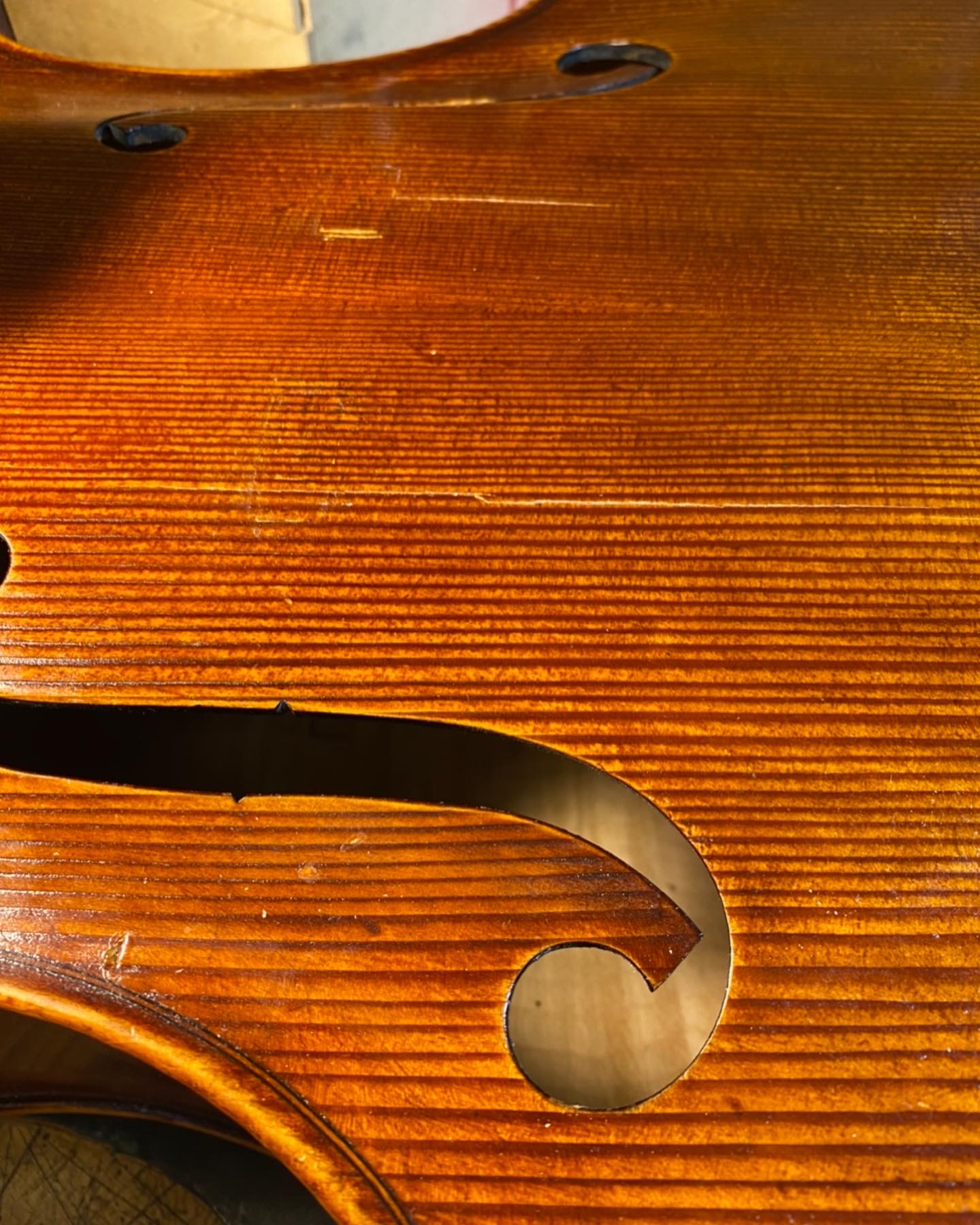 Portfolio Image 5