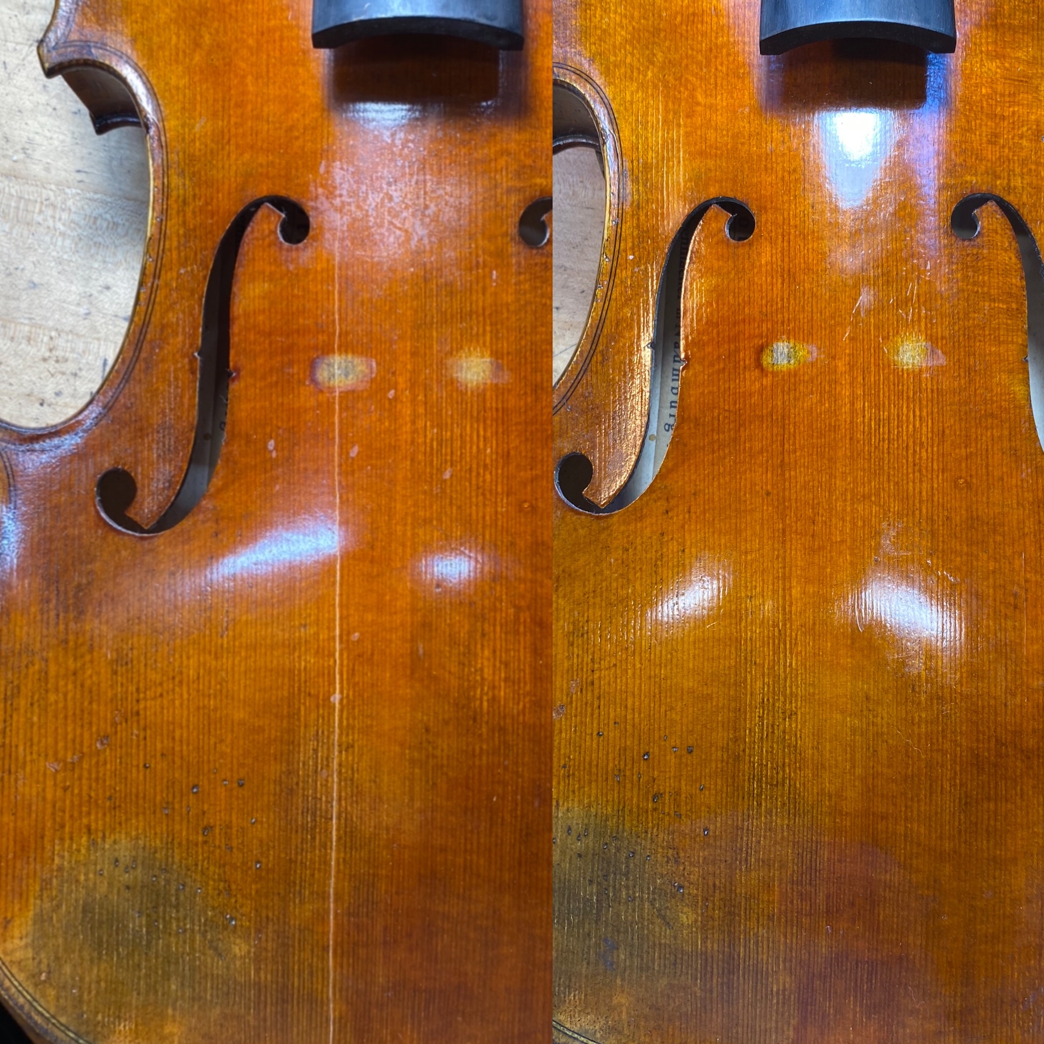Portfolio Image 6