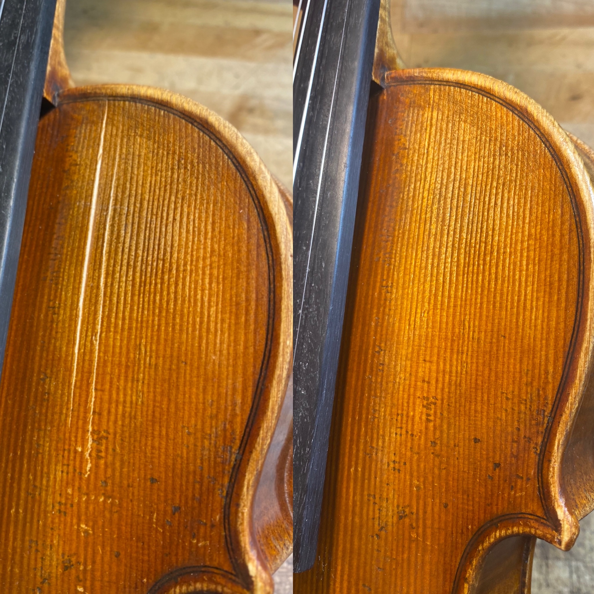 Portfolio Image 7